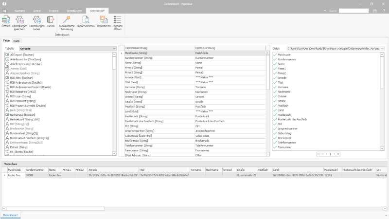 Zuweisung der zu importierenden Daten zu den ingenious.basic Datenbankfeldern